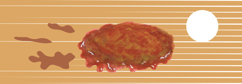 テリヤキ　イラスト