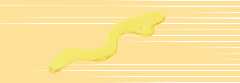 マスタードソース　イラスト