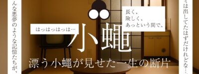 思考的実験　小蠅