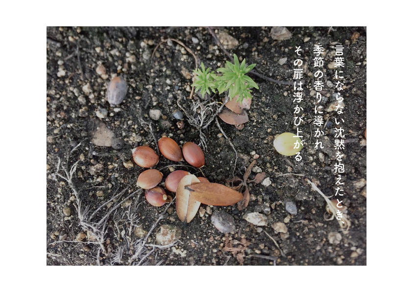 忘れられたレストラン