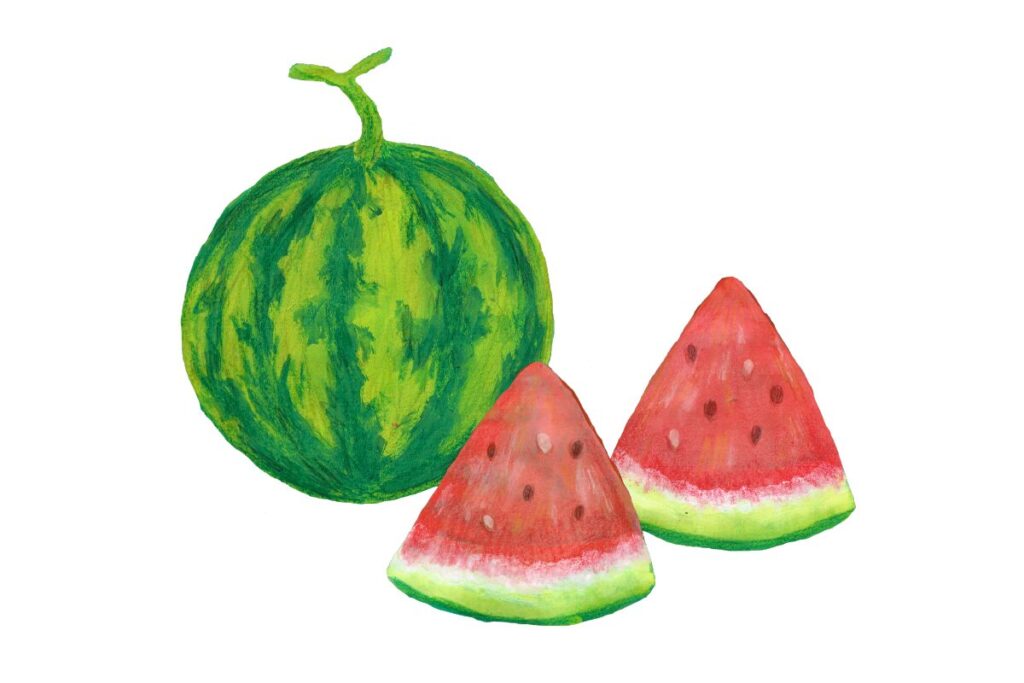スイカ　イラスト