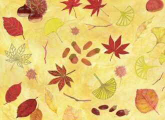 落ち葉　イラスト