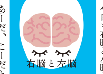 右脳と左脳　思考的実験