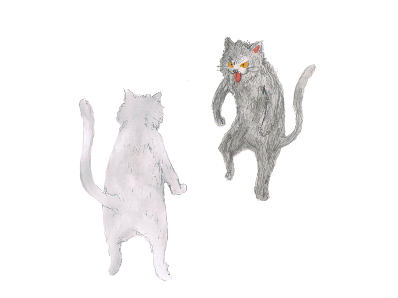 白猫と黒猫　イラスト