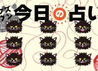 猫による今日の占い