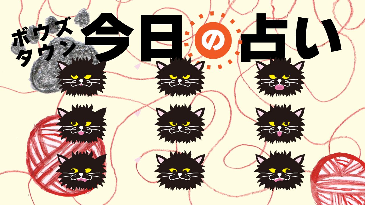 猫による今日の占い