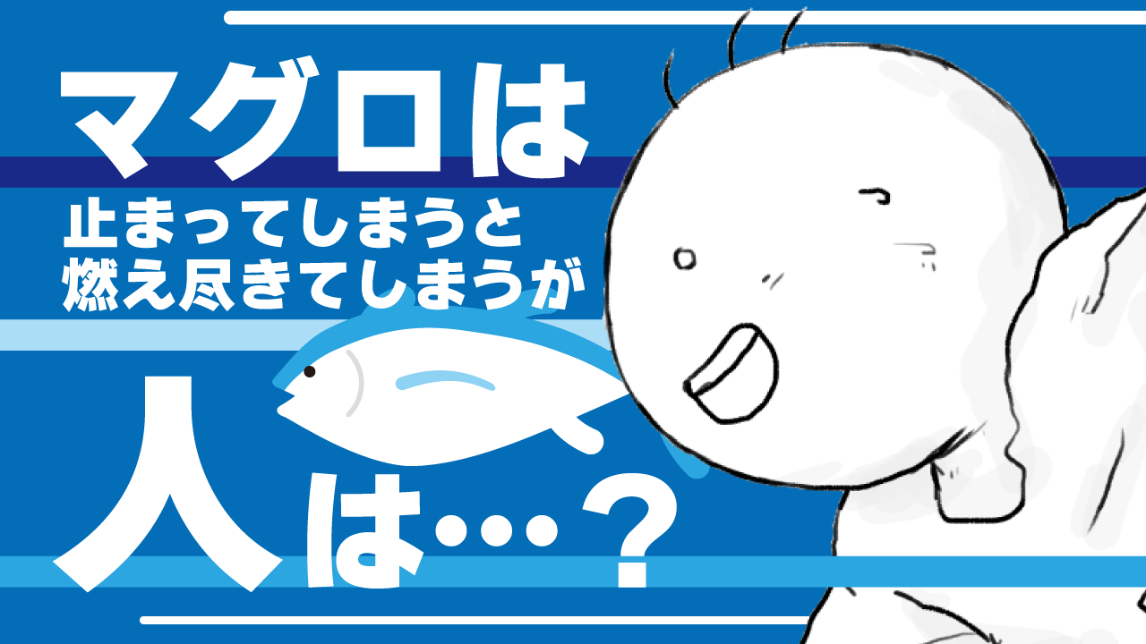 マグロと坊太　イラスト