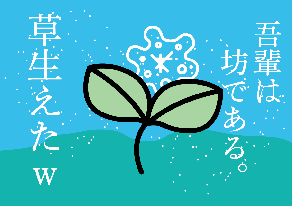 吾輩は坊である　イラスト